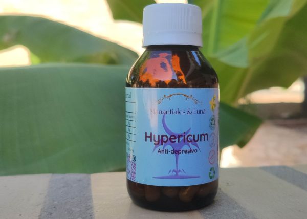 Hypericum.jpg