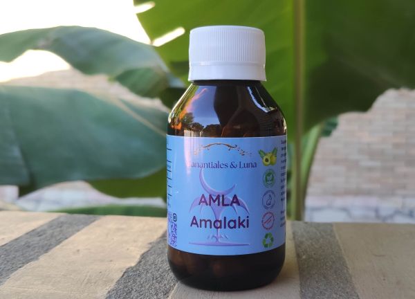 Amla_Amalaki.jpg