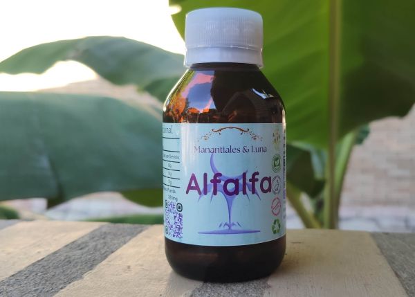 Alfalfa.jpg