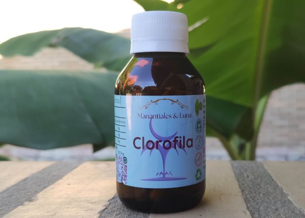 Chlorophyll.jpg