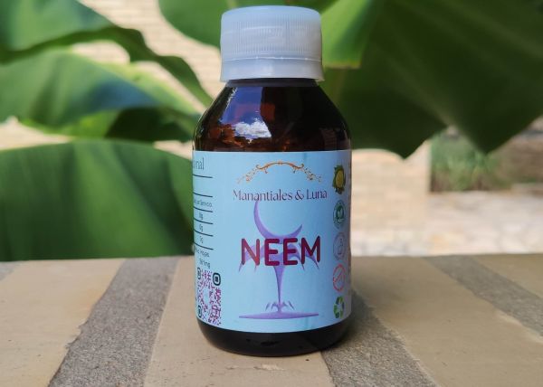 Neem.jpg