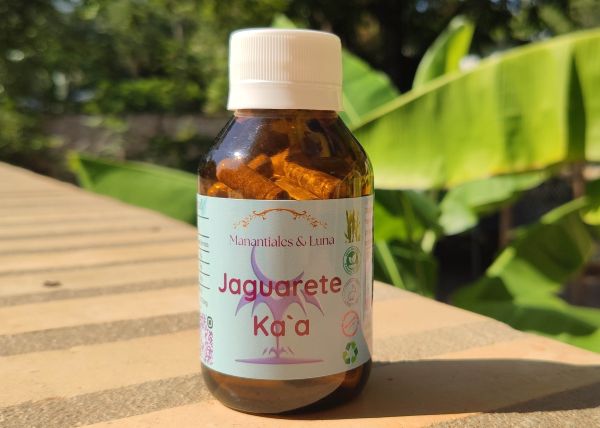 Jaguarete.jpg