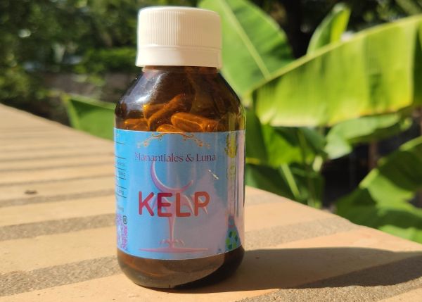 Kelp_Seetang.jpg