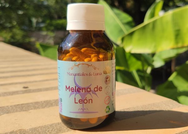 melena_de_leon.jpg