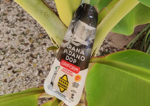 Grana_Padano_Agriform.jpg