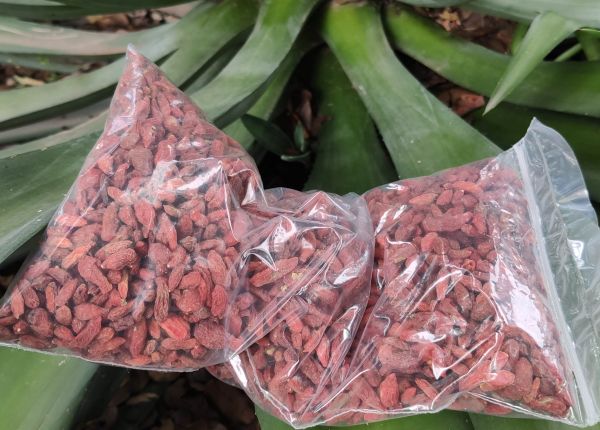 Goji_Beeren.jpg